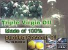 Philippine Coconut