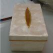 Tissue Holder